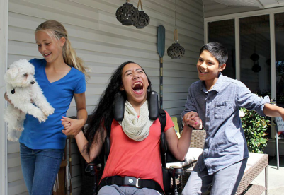 Seler, bælter samt Matrx hovedstøtter